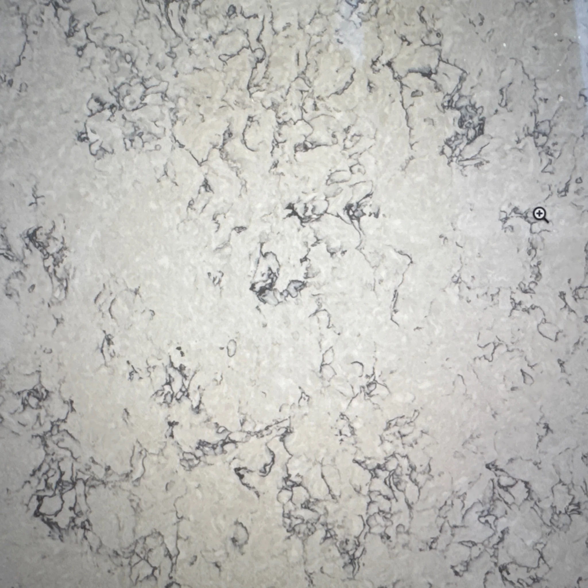 Blanca arabescato remnant
